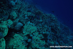 Majuro Delap Point