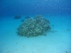 Wau Island Lagoon