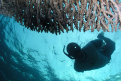 Airport Snorkel