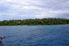 Wau Fishing