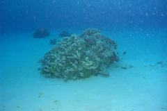 Wau Lagoon